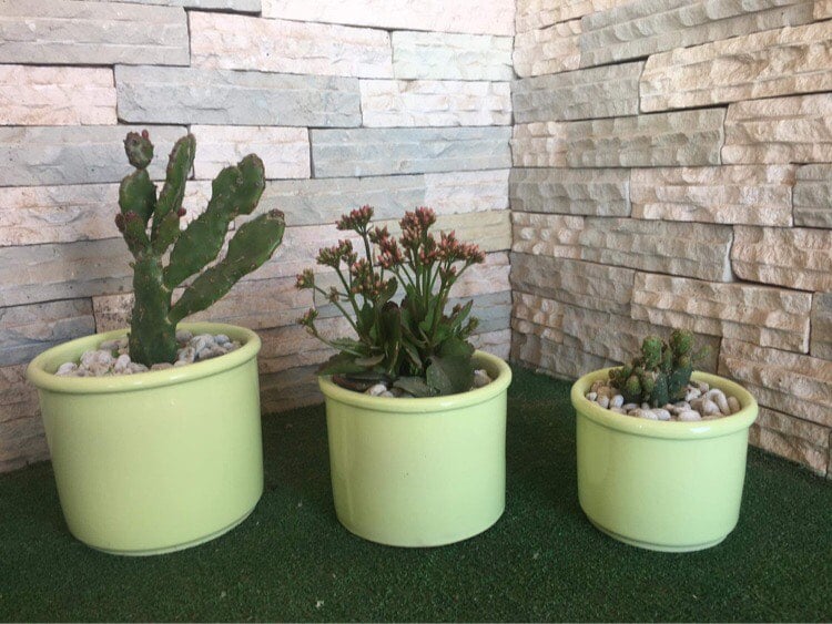 cache-pots décorées