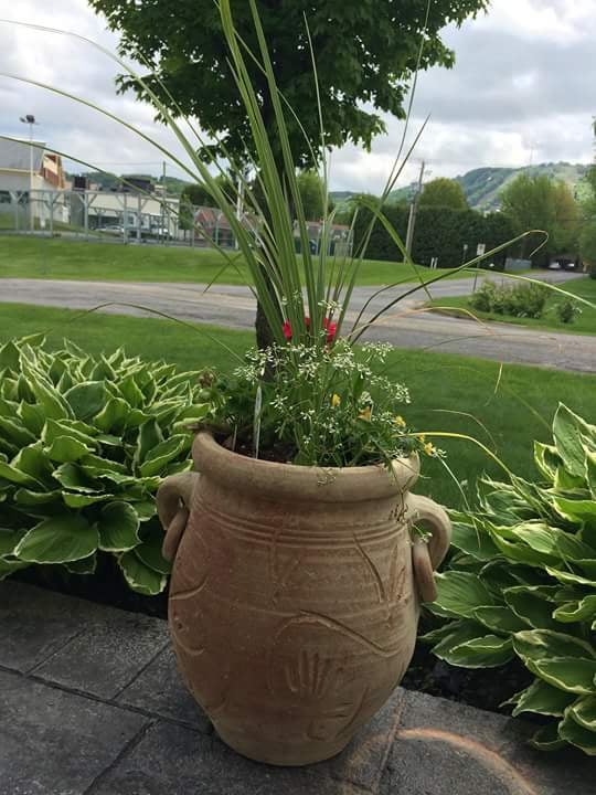 POT Aubergine Sculté